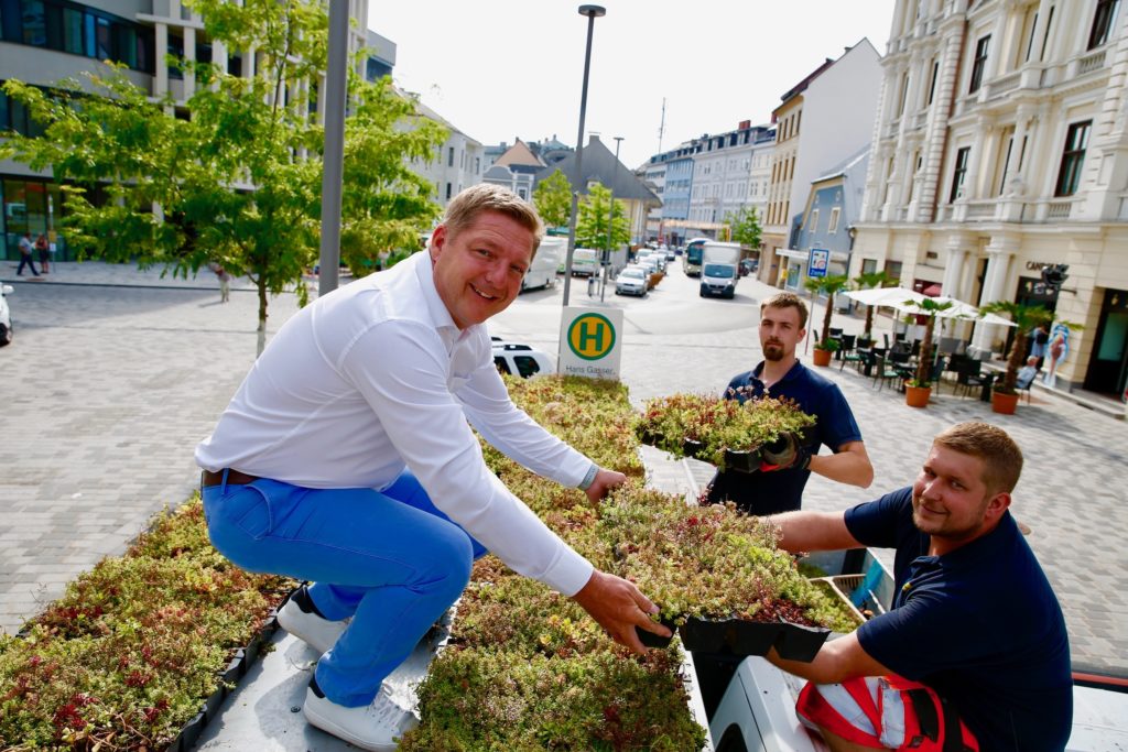 Startschuss für begrünte Dächer auf den Villacher Bushaltestellen