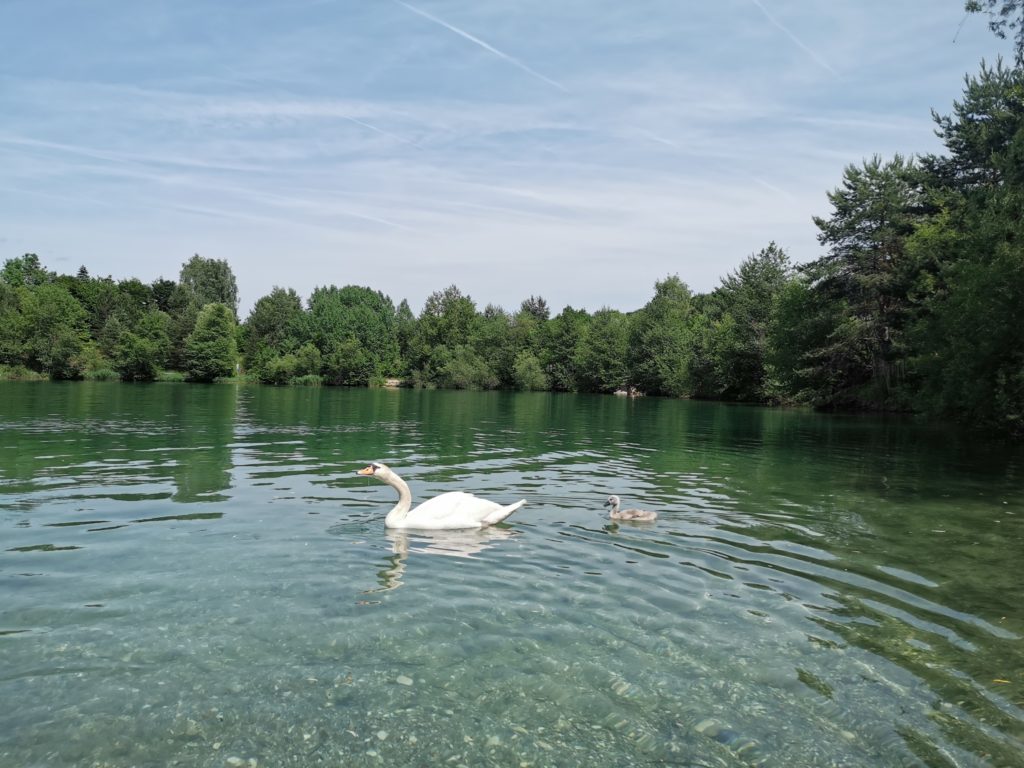 Silbersee: Gratis baden seit 30 Jahren