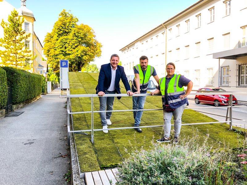 Villach testet Moosmatten zur Dachbegrünung