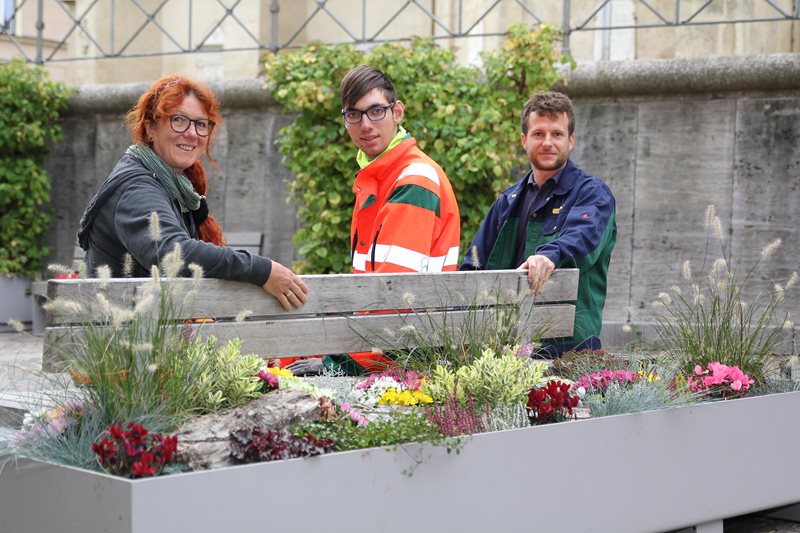 Es wird herbstlich in der Innenstadt