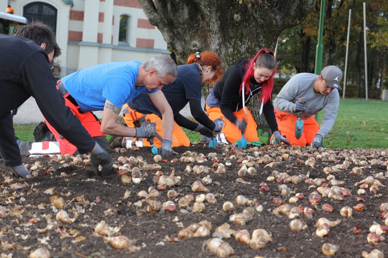 Stadtgarten-Teams bereiten schon den Frühling vor