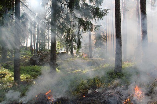 Waldbrandgefahr auch in Villach!