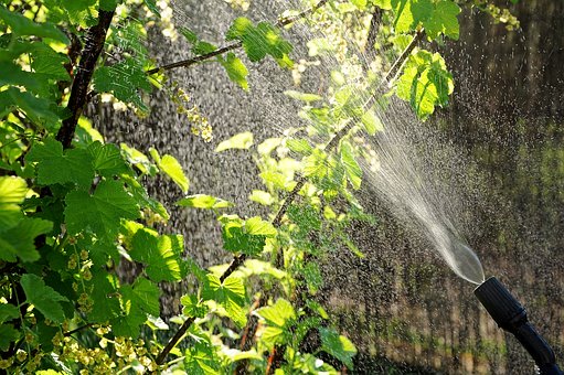 Glyphosat: Bundesregierung muss handeln!