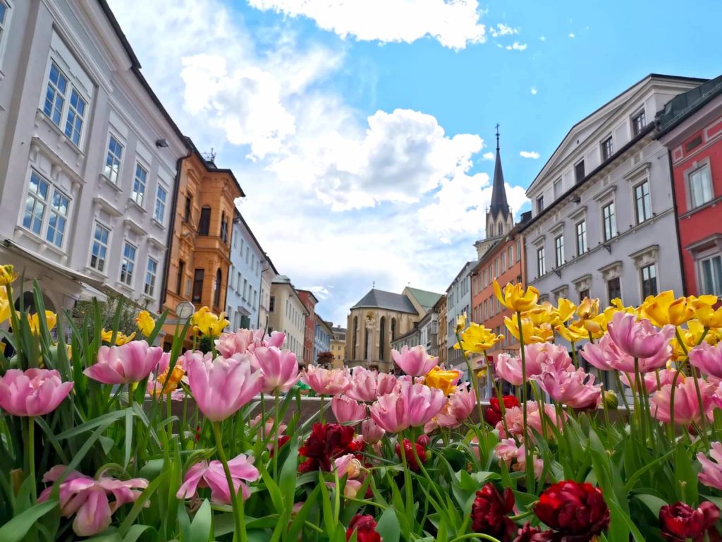 Stadt Villach hat eine eigene Corona-Kummernummer