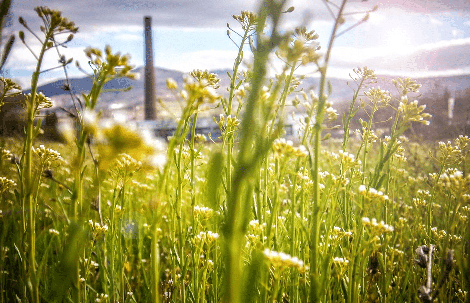 Stadt fördert Umstieg auf erneuerbare Energie