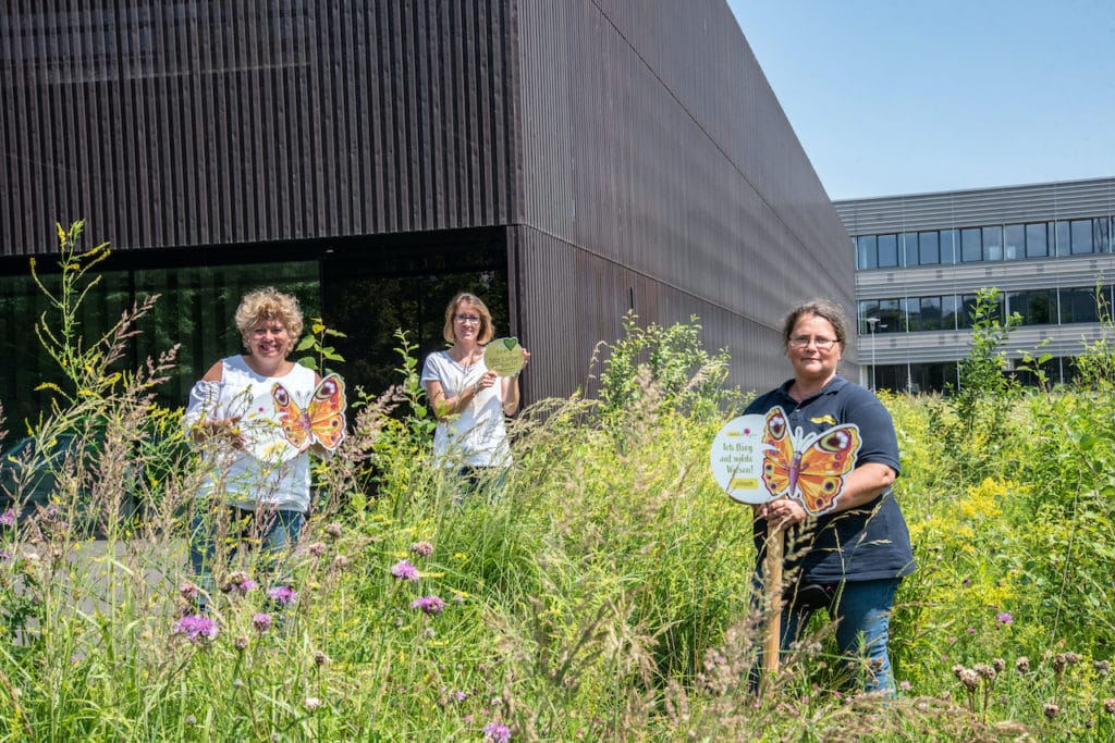 „Vielfalter“ als Botschafter der Artenvielfalt