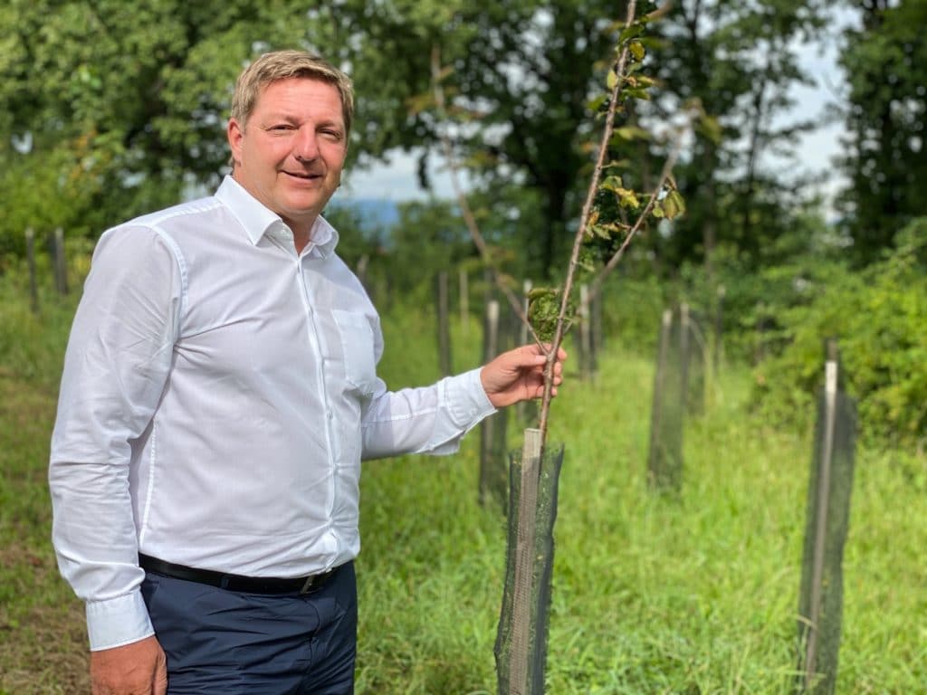 Villachs Lebensbaum-Wald wächst und wächst