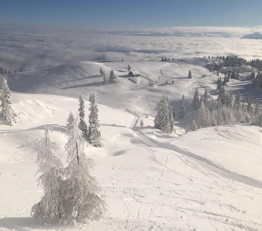 Bustarif auf dem Dobratsch halbiert