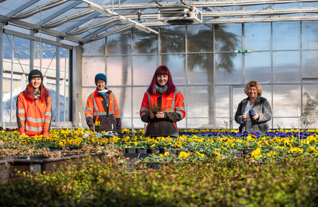 stadtGRÜN bereitet schon den bunten Frühling vor